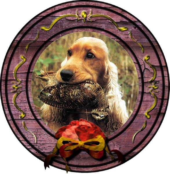 CH. Jimmison Odyssey